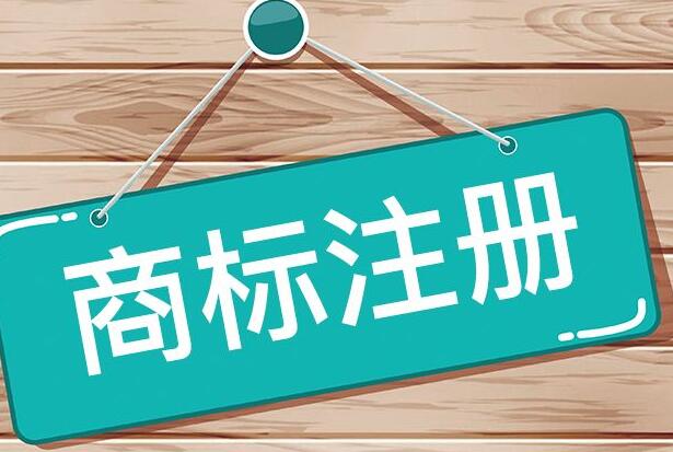 为什么要委托代理机构办理？